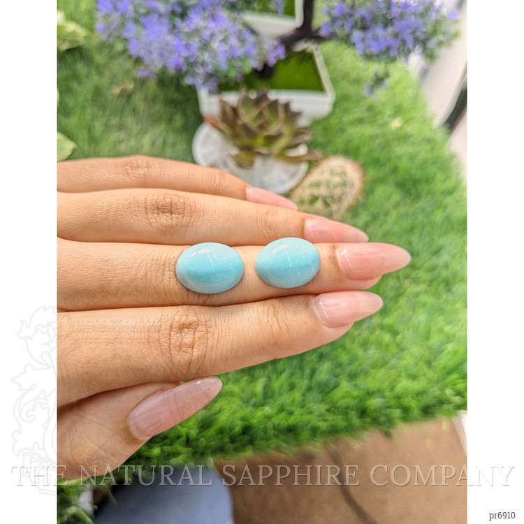 23.57 Ct.Tw. Cabochon Turquoise Pair from United States