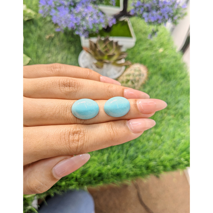 23.57 Ct.Tw. Cabochon Turquoise Pair from United States