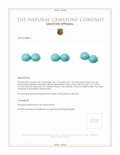 2.37 Ct.Tw.Total Carat Weight Cabochon Turquoise Pair from United States Appraisal