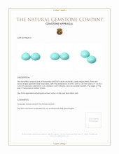 1.73&nbsp;Ct.Tw.Total Carat Weight Cabochon Turquoise Pair from United States Appraisal