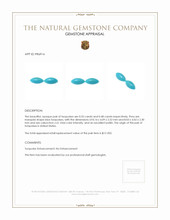 1.03 Ct.Tw.Total Carat Weight Cabochon Turquoise Pair from United States Appraisal