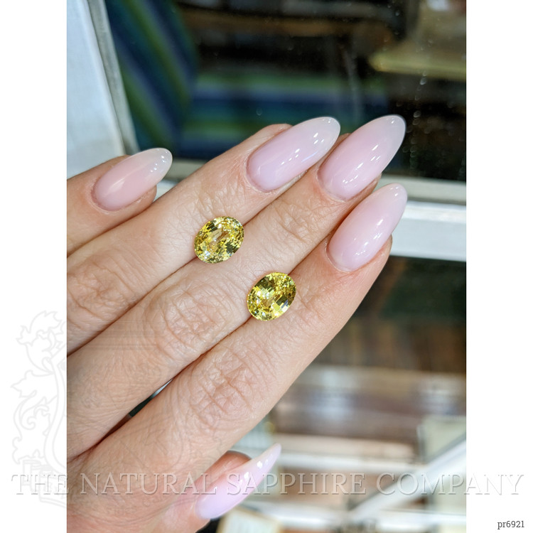 6.77 Ct.Tw. Yellow Sapphire Pair from Ceylon (Sri Lanka)