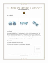 1.49 Ct.Tw.Total Carat Weight Aquamarine Pair from Brazil Appraisal