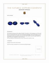 20.40 Ct.Tw.Total Carat Weight Blue Sapphire Pair from Ceylon (Sri Lanka) Appraisal