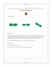 1.51 Ct.Tw.Total Carat Weight Emerald Pair from Brazil Appraisal