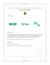 0.87 Ct.Tw.Total Carat Weight Emerald Pair from Brazil Appraisal
