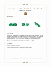 1.34 Ct.Tw.Total Carat Weight Emerald Pair from Brazil Appraisal