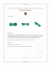 1.34 Ct.Tw.Total Carat Weight Emerald Pair from Brazil Appraisal