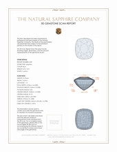6.16 Ct.Tw.Total Carat Weight Blue Sapphire Pair from Ceylon (Sri Lanka) 3 D Scan Report