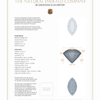 2.69 Ct.Tw.Total Carat Weight Emerald Pair from Brazil 3 D Scan Report