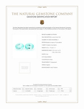 Jewelry Scan Report