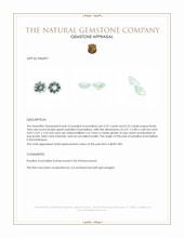 0.45 Ct.Tw.Total Carat Weight Green Paraiba Tourmaline Pair from Mozambique Appraisal