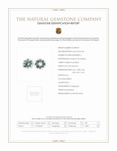 Jewelry Scan Report