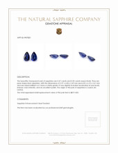 0.97 Ct.Tw.Total Carat Weight Blue Sapphire Pair from Ceylon (Sri Lanka) Appraisal