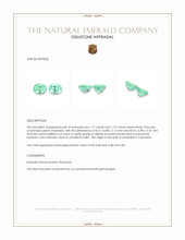 3.46 Ct.Tw.Total Carat Weight Emerald Pair from Colombia Appraisal