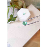 3.46 Ct.Tw.Total Carat Weight Emerald Pair from Colombia Life Style