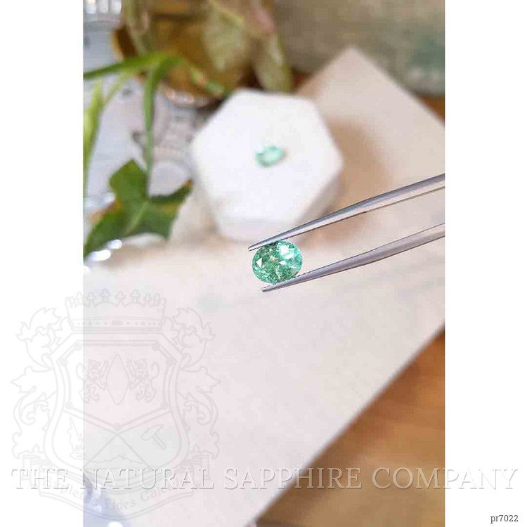 3.46 Ct.Tw. Emerald Pair from Colombia