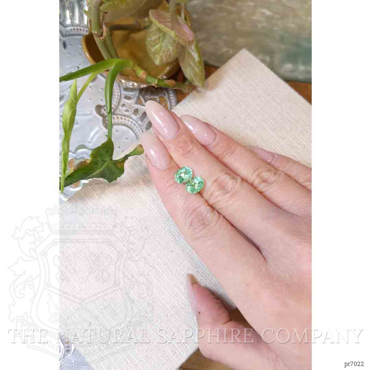 3.46 Ct.Tw. Emerald Pair from Colombia