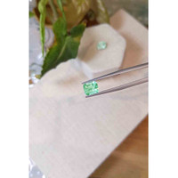 2.71 Ct.Tw.Total Carat Weight Emerald Pair from Colombia Life Style