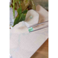 2.71 Ct.Tw.Total Carat Weight Emerald Pair from Colombia Life Style