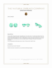 3.07 Ct.Tw.Total Carat Weight Emerald Pair from Colombia Appraisal