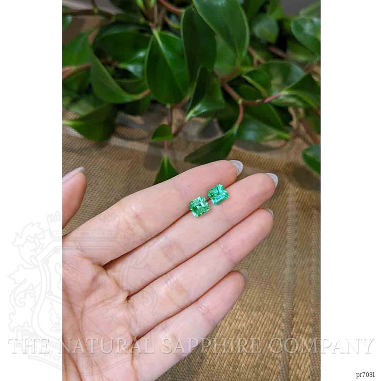 2.73 Ct.Tw. Emerald Pair from Colombia