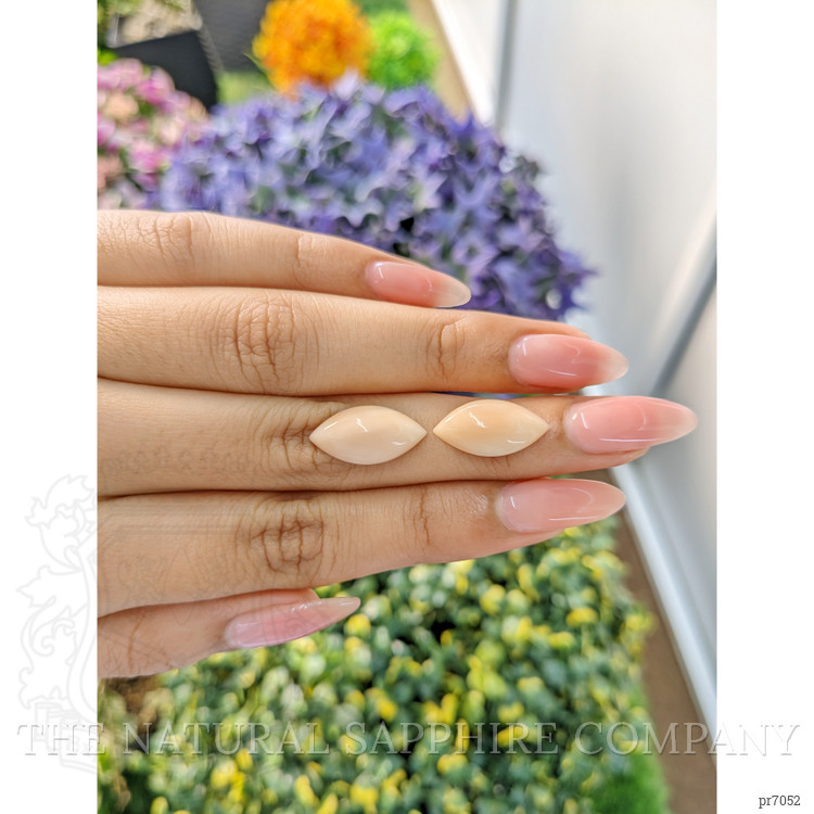 8.52 Ct.Tw. Cabochon Coral Pair from Italy