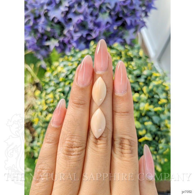 8.52 Ct.Tw. Cabochon Coral Pair from Italy