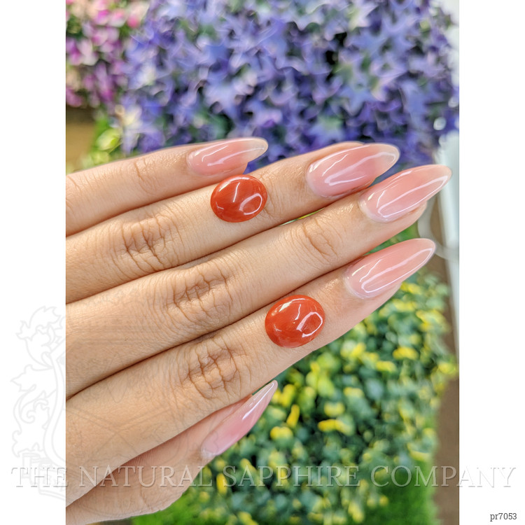 5.35 Ct.Tw. Cabochon Coral Pair from Italy