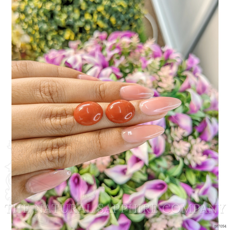 10.33 Ct.Tw. Cabochon Coral Pair from Italy