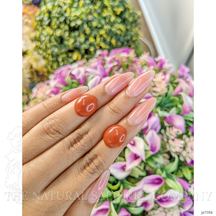 10.33 Ct.Tw. Cabochon Coral Pair from Italy