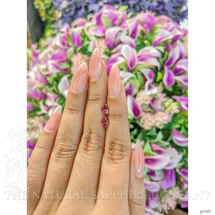 1.04 Ct.Tw. Tourmaline Pair from Mozambique