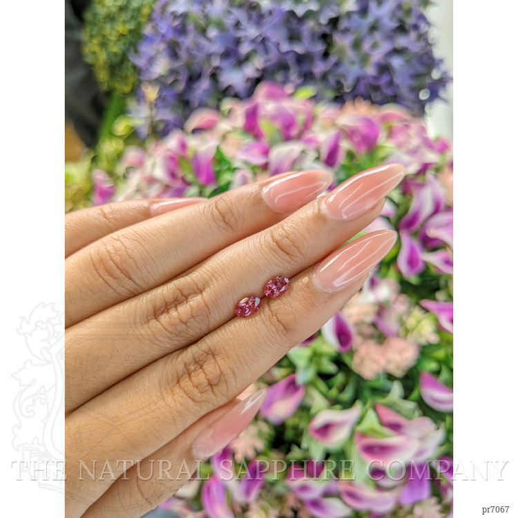 1.04 Ct.Tw. Tourmaline Pair from Mozambique