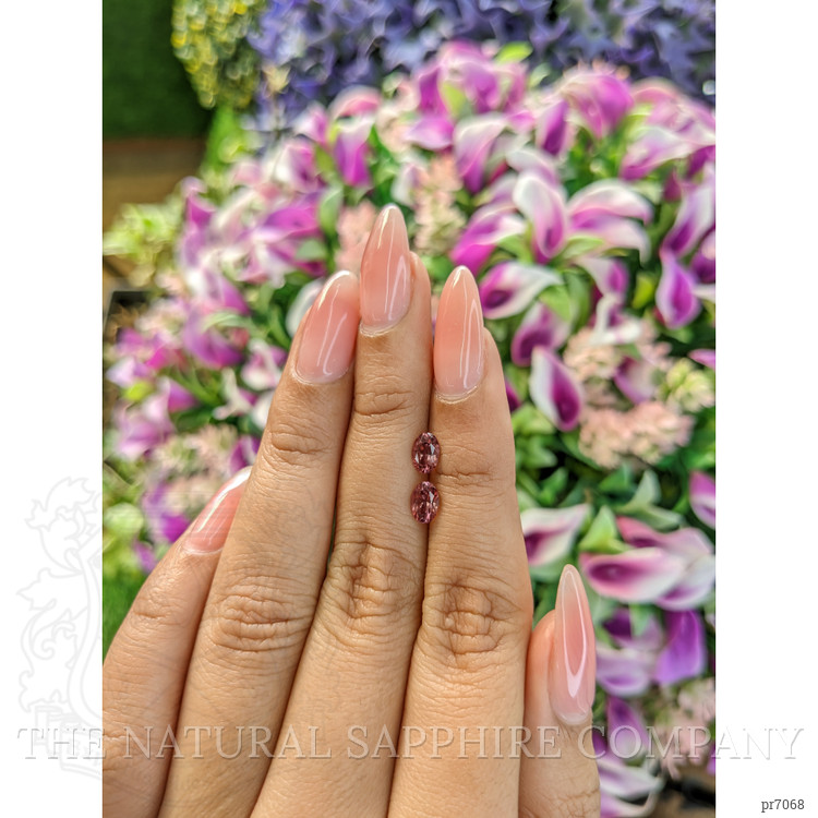 1.01 Ct.Tw. Tourmaline Pair from Mozambique