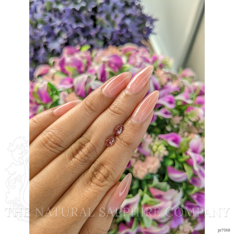 1.01 Ct.Tw. Tourmaline Pair from Mozambique