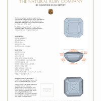 Jewelry 3 D Scan Report