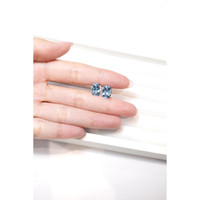 5.39 Ct.Tw.Total Carat Weight Aquamarine Pair from Brazil Life Style