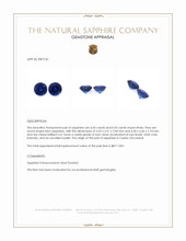 0.86 Ct.Tw.Total Carat Weight Blue Sapphire Pair from Ceylon (Sri Lanka) Appraisal