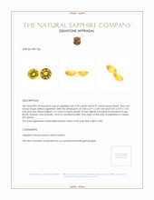 1.07&nbsp;Ct.Tw.Total Carat Weight Yellow Sapphire Pair from Ceylon (Sri Lanka) Appraisal