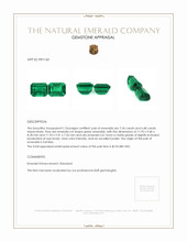 13.82 Ct.Tw.Total Carat Weight Emerald Pair from Zambia Appraisal