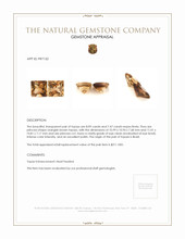 15.56 Ct.Tw.Total Carat Weight Topaz Pair from Brazil Appraisal