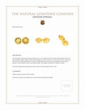 8.66 Ct.Tw.Total Carat Weight Yellow Citrine Pair from Brazil Appraisal