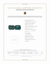 Jewelry Scan Report