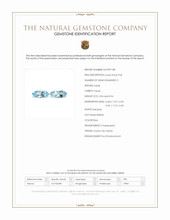7.88 Ct.Tw.Total Carat Weight Topaz Pair from Ceylon (Sri Lanka) Scan Report