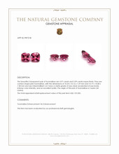 10.06 Ct.Tw.Total Carat Weight Tourmaline Pair from Ceylon (Sri Lanka) Appraisal