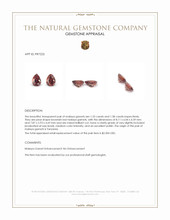 3.13 Ct.Tw.Total Carat Weight Brownish Red Malaya Garnet Pair from Tanzania Appraisal