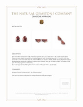 3.13 Ct.Tw.Total Carat Weight Malaya Garnet Pair from Tanzania Appraisal