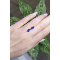 1.83&nbsp;Ct.Tw.Total Carat Weight Blue Sapphire Pair from Ceylon (Sri Lanka) Life Style