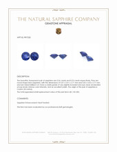 1.09 Ct.Tw.Total Carat Weight Blue Sapphire Pair from Ceylon (Sri Lanka) Appraisal
