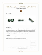 1.04&nbsp;Ct.Tw.Total Carat Weight Green Sapphire Pair from Ceylon (Sri Lanka) Appraisal